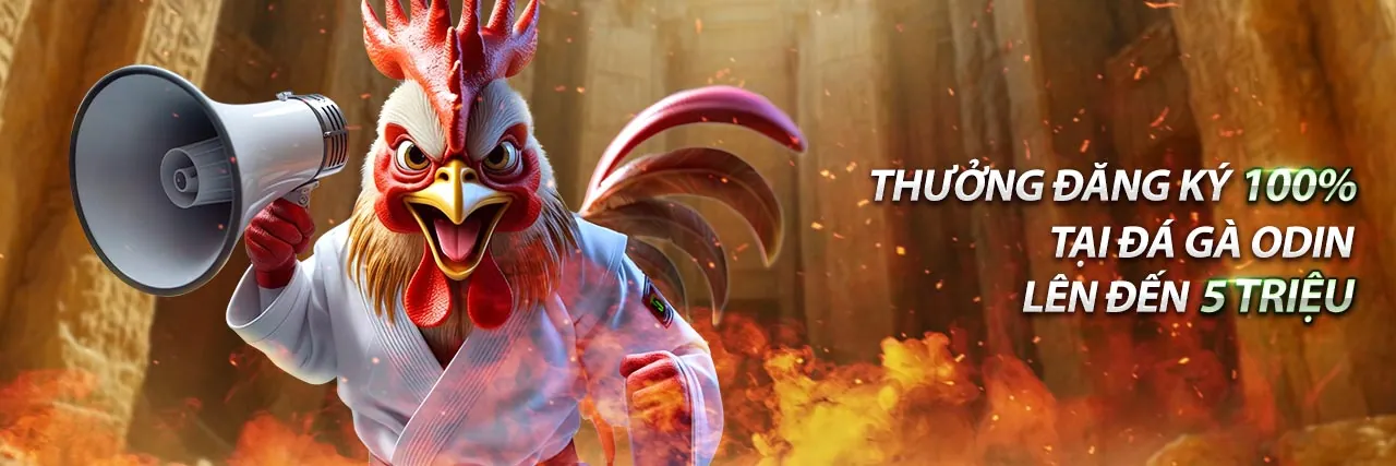 Hướng dẫn cá cược đá gà